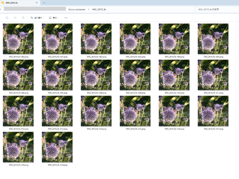 Folder containing multiple images of the same subject captured with different focus distances