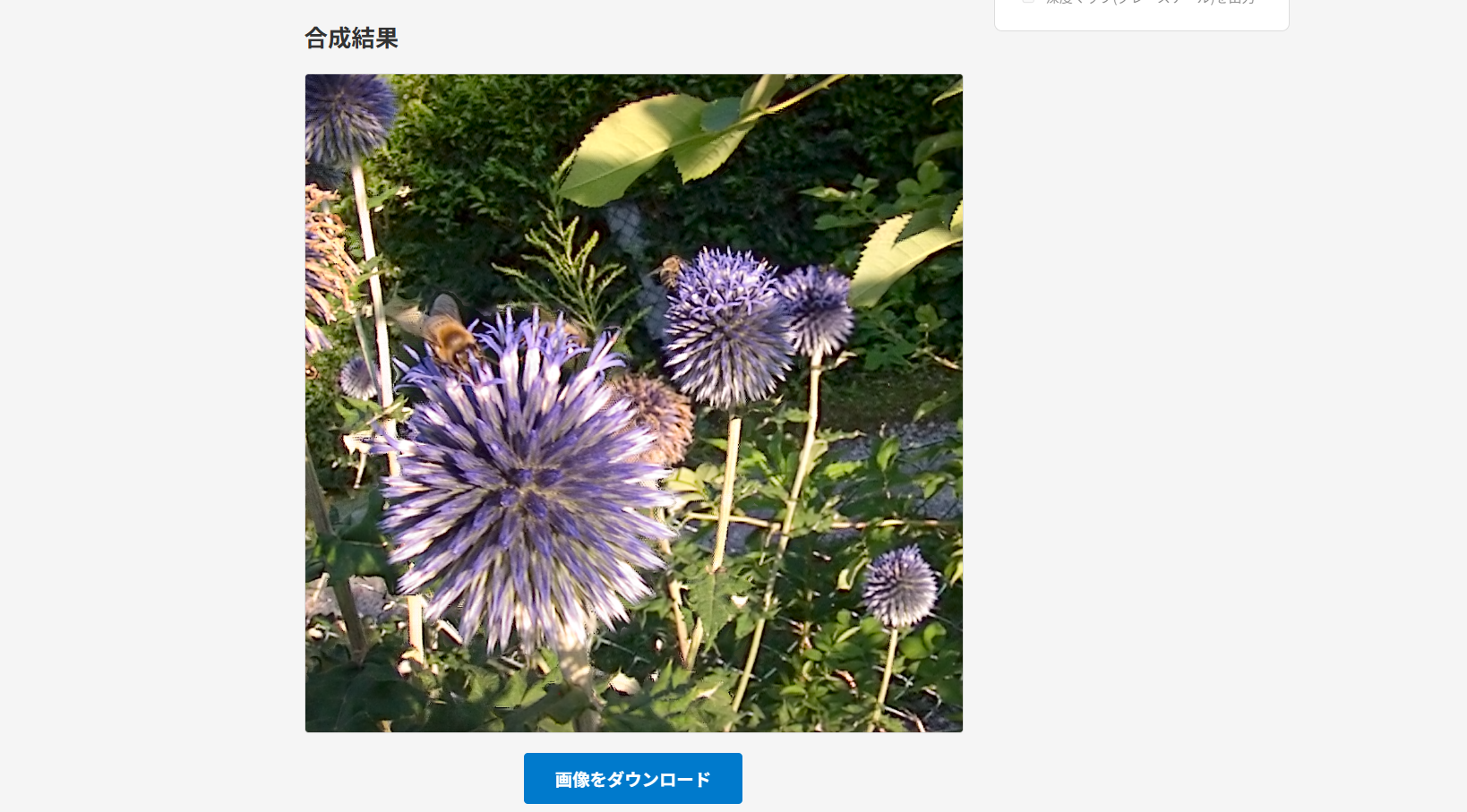 focus stacker result sample